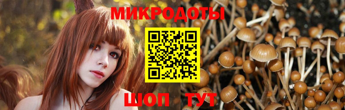 Галлюциногенные грибы MAGIC MUSHROOMS  Вход с VPN  Псилоцибиновые грибы мухоморы  Златоуст 
